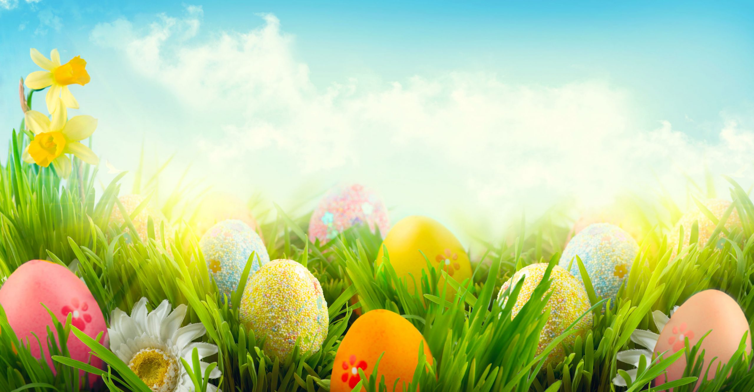 678 Free Easter Clipart and Images To Prepare for the Holiday